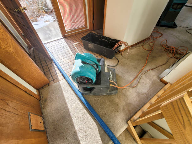 Carpet water damage restoration in IL