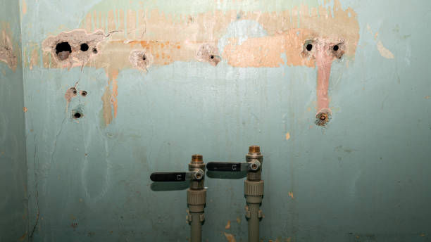  Central City, IL Water damage restoration Pros