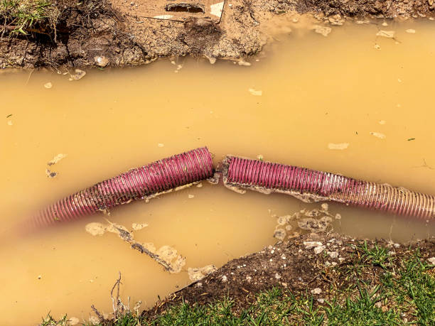 Best Basement water damage restoration  in Central City, IL
